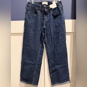 Hollister Indigo Low Rise Baggy Jeans Size 2 NWT